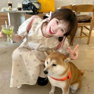 玉楼春梦